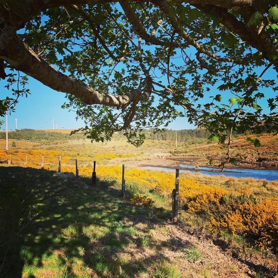 Bed & Breakfast Da Garca Sao Pedro do Sul