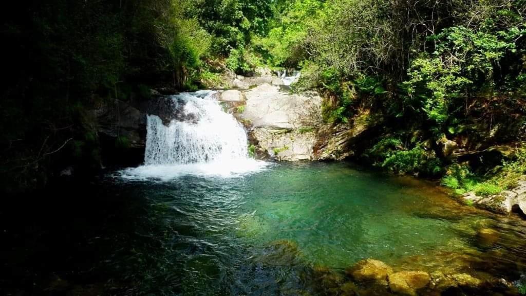 Da Garca Sao Pedro do Sul