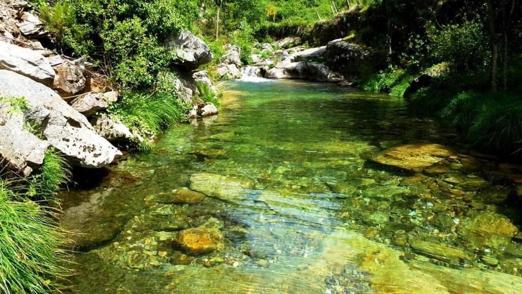 Da Garca Bed & Breakfast Sao Pedro do Sul